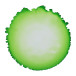 Cernit alcoholinkt 20ml Grasgroen-ol 20ml Vert prairie/ St.