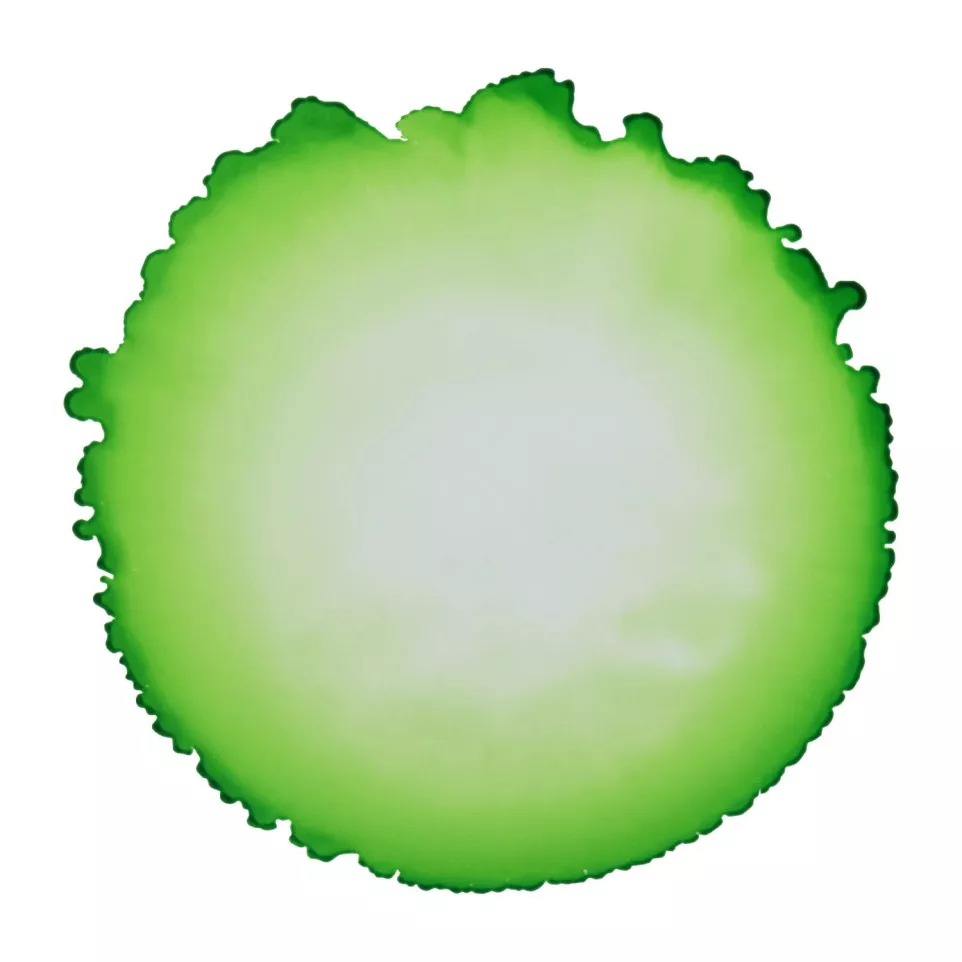 Cernit alcoholinkt 20ml Grasgroen-ol...