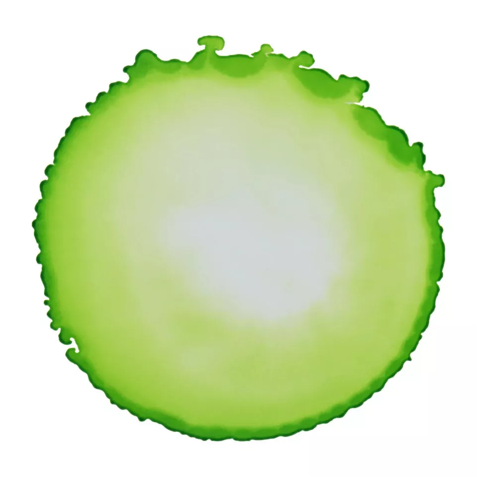 Cernit encre à l'alcool 20 ml Vert...