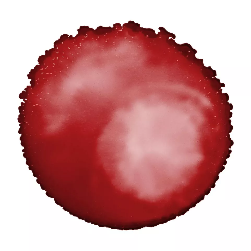 Cernit encre à l'alcool 20 ml Rouge à...