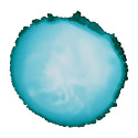 Cernit encre à l'alcool 20 ml bleu Turquoise/ Pce