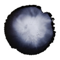 CERNIT - An opaque alcohol-based ink - 20 ml bottle - Black - CE2000020100C/ Pc.