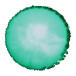 CERNIT - An opaque alcohol-based ink - 20 ml bottle - Lizard - CE2000020612C/ Pc.