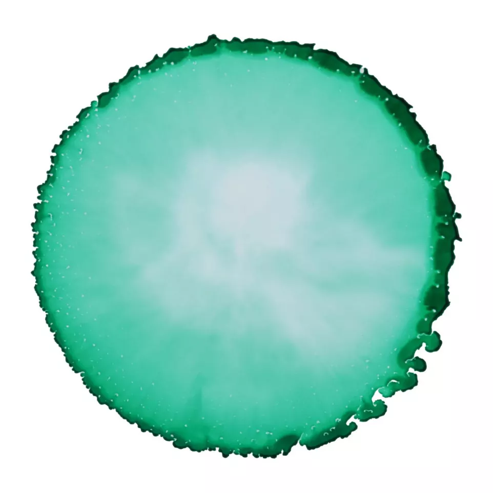 CERNIT - An opaque alcohol-based ink...