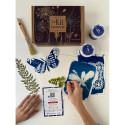 Creatieve doos, Cyanotype-/ St.