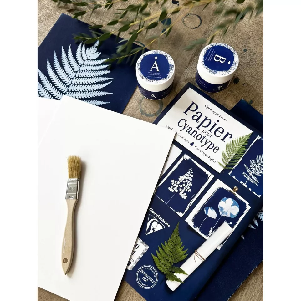 Creatieve doos, Cyanotype-/ St.