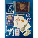 Creatieve doos, Cyanotype-/ St.