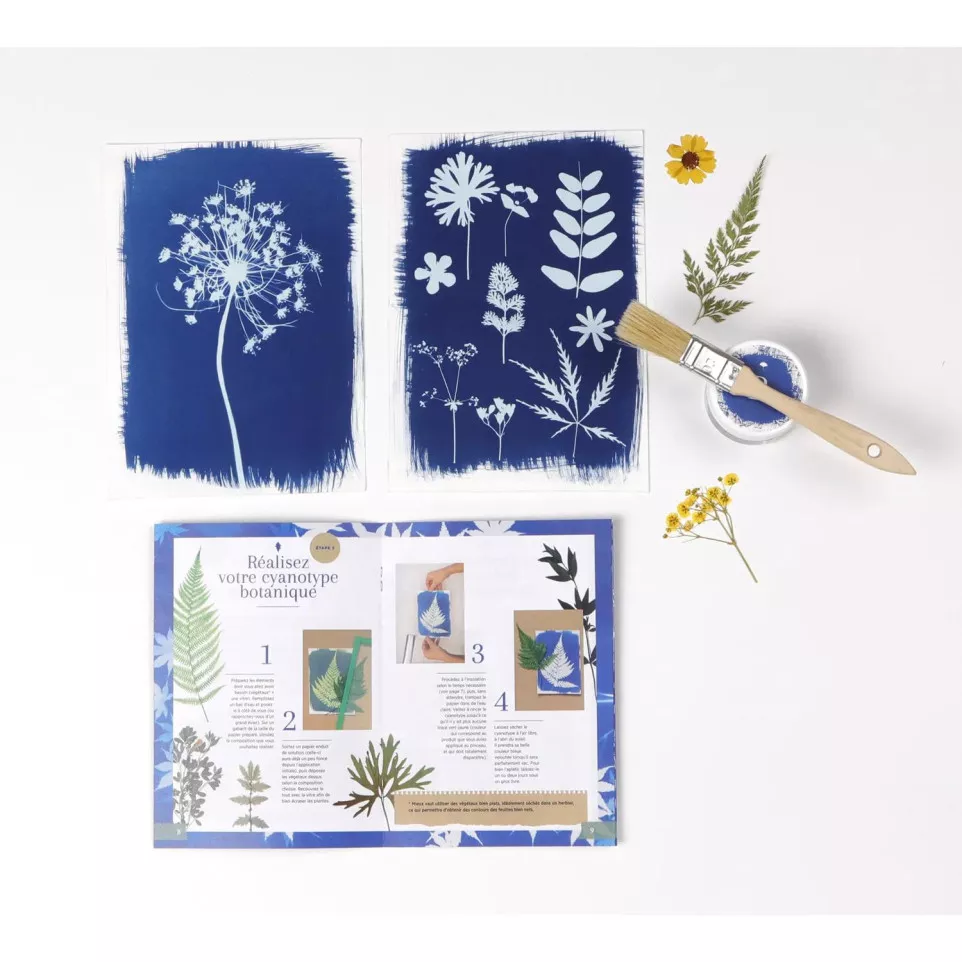 Creatieve doos, Cyanotype-/ St.