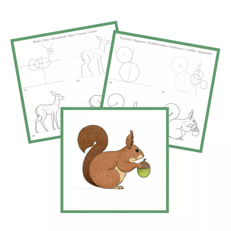 Graffy Nature, Learn, Forest/ Pc.