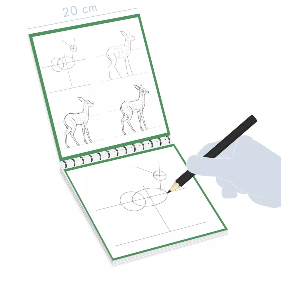 Graffy Nature, Learn, Forest/ Pc.