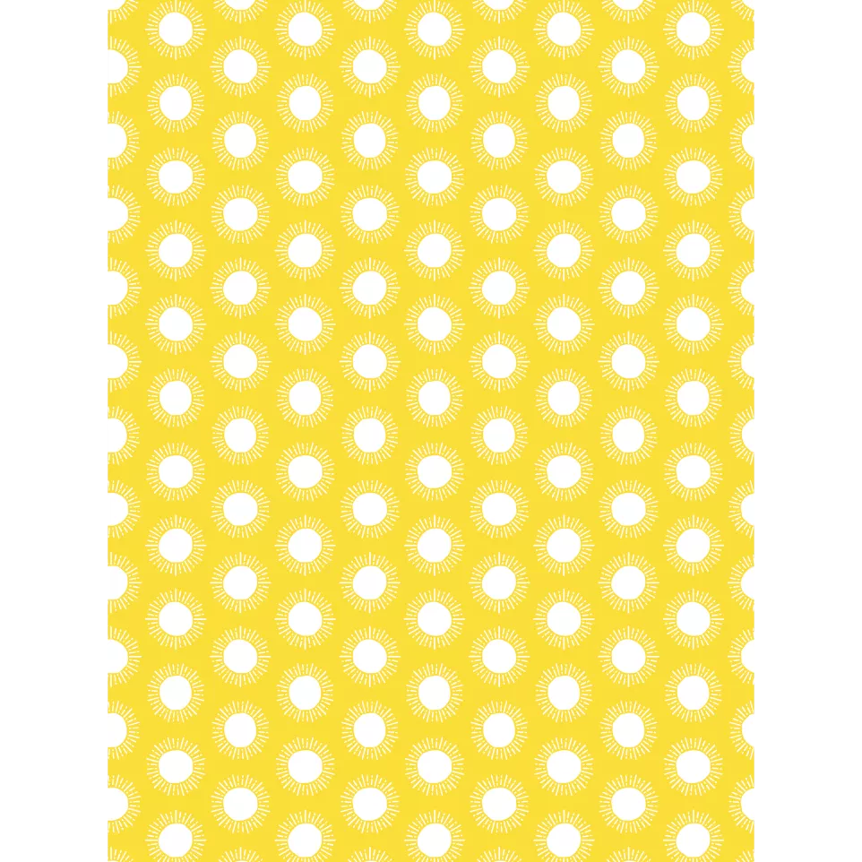 Décopatch 880 - Etui 20 blad-uilles...