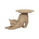 Plateau chat/ Pce