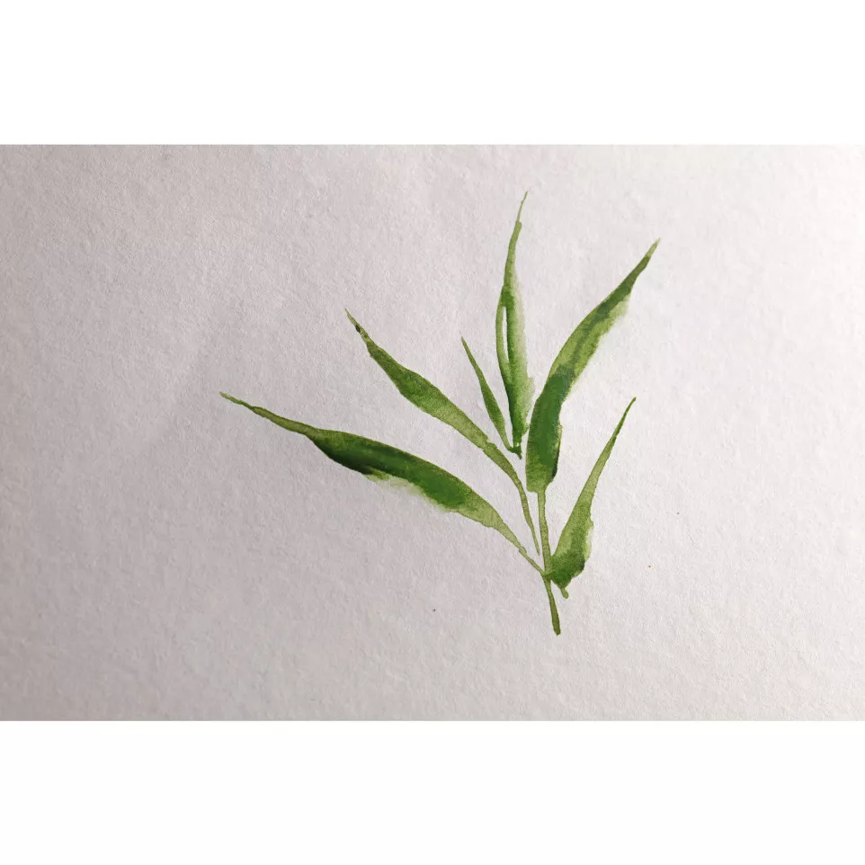 Bamboo rouleau 1,96x10m 250g/ Pce