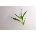 Blok spiraal Bamboo-250g 15x15cm 15bl/ St.