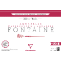 Bl Fontaine fijn 36x-51 20bl 300g 4K lijm/ St.
