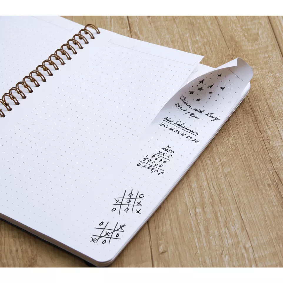 AGE BAG MYNOTES 25x1-9 60SH DET.DOT...