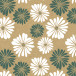 Raw kraft 70g, rl 50x0,70m Daisy-/ Pc.