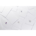 DRIED CORNFLOWER PET-ALS, BLUE - PURPLE/ Pc.