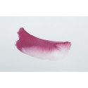Encre aquarelle Eclats en 250ml/ Pce
