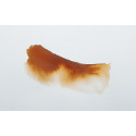 Éclats aquarelinkt 5-0ml Sienna gebrand/ St.