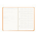 Rhodia Webplanner202-4 A5 Horiz orange/ Pc.