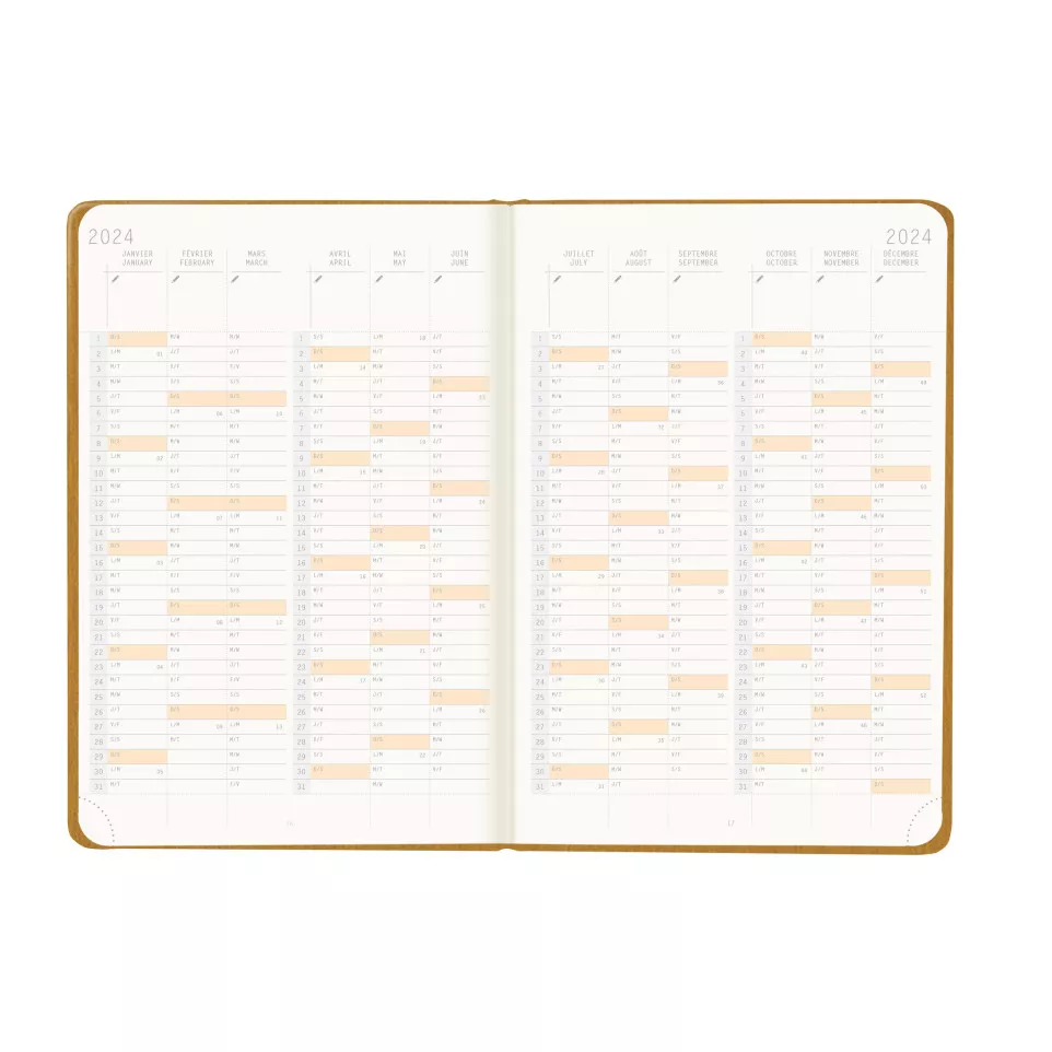 Rhodia Webplanner2024 A5 hor. goud-/ St.