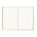 Rhodia Webplanner2024 A5 vert. goud-/ St.