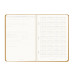 Rhodia Webplanner2024 A5 vert. goud-/ St.