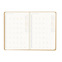 Rhodia Webplanner2024 A5 vert. goud-/ St.