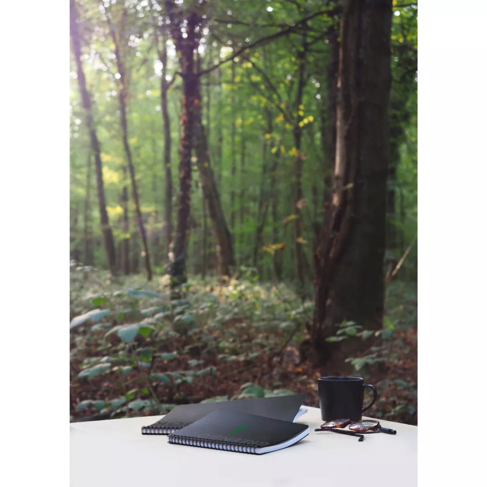 Rhodiactive Greenbook ligné, A5+,...
