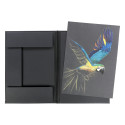 Clairefontaine Rhodia Touch Art Folder 32x45/ Pc.