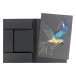 Rhodia T tekenmap multitech 32x45cm-in multitech 32x45cm/ St.