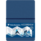 Accordion Book carnet...