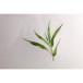 Bamboo paquet 5F 56x76cm 250g/ Pce