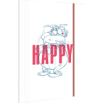 Astérix 5, Chemise à...