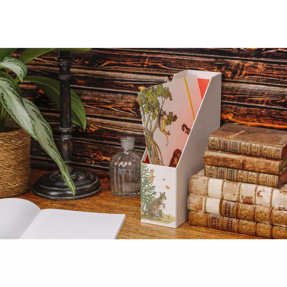 Animalis, Magazines-rack...