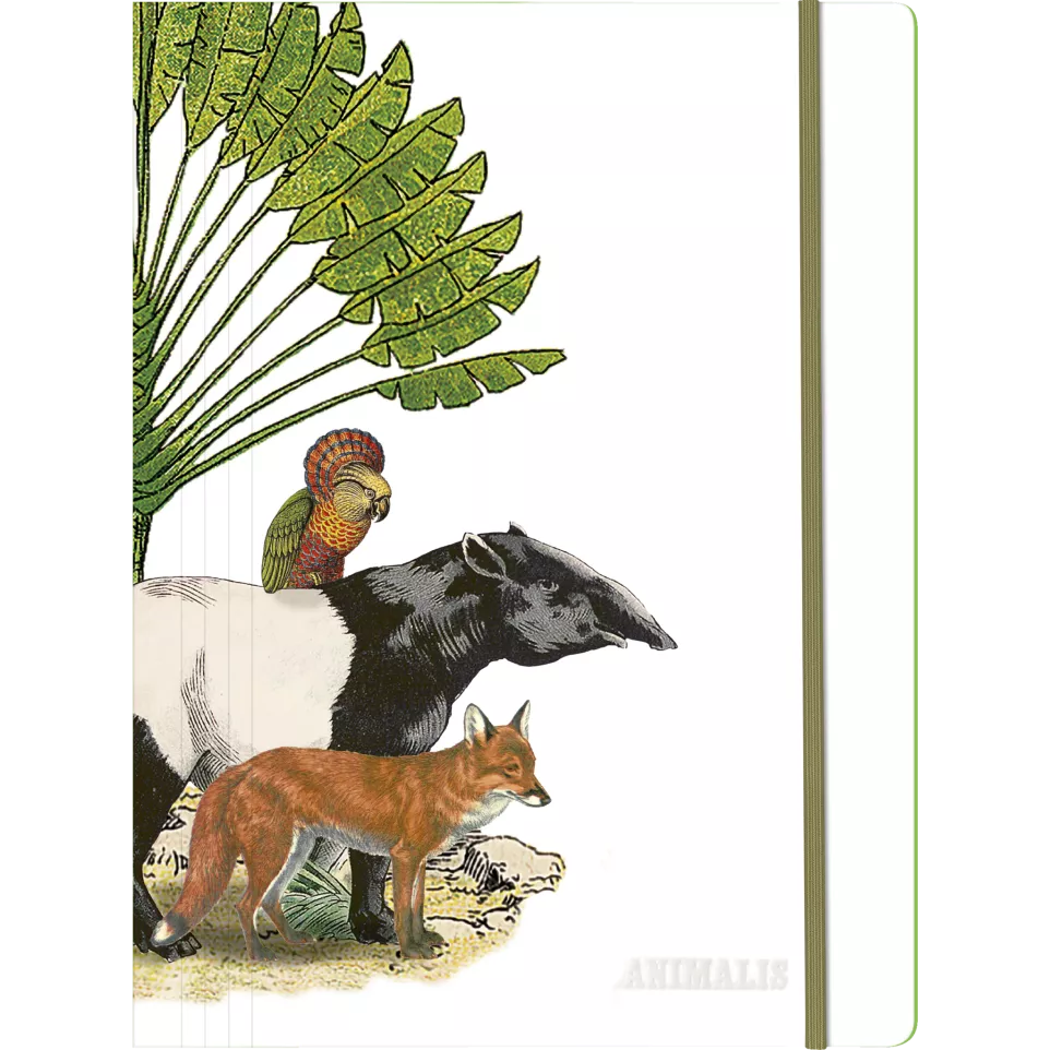 Animalis, Elastic folder 24x32cm-/ Pc.
