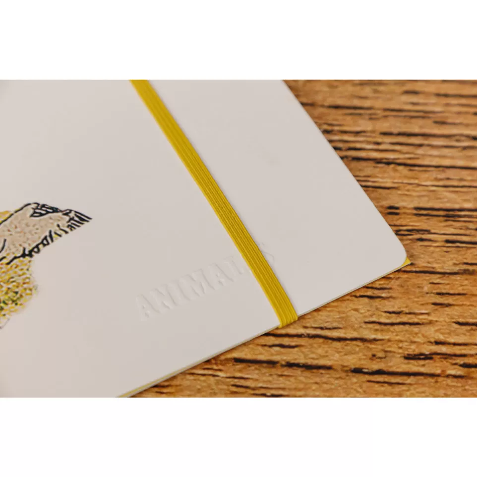 Animalis elastomap-/ St.