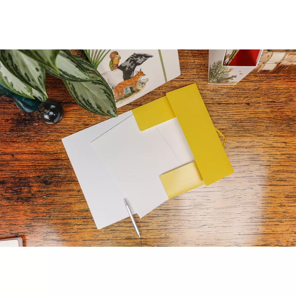 Animalis, Elastic folder 24x32cm-/ Pc.