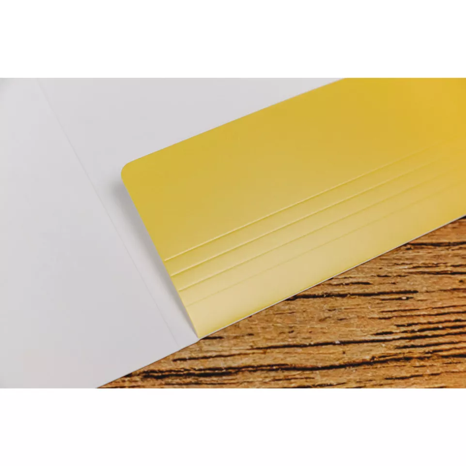 Animalis, Elastic folder 24x32cm-/ Pc.