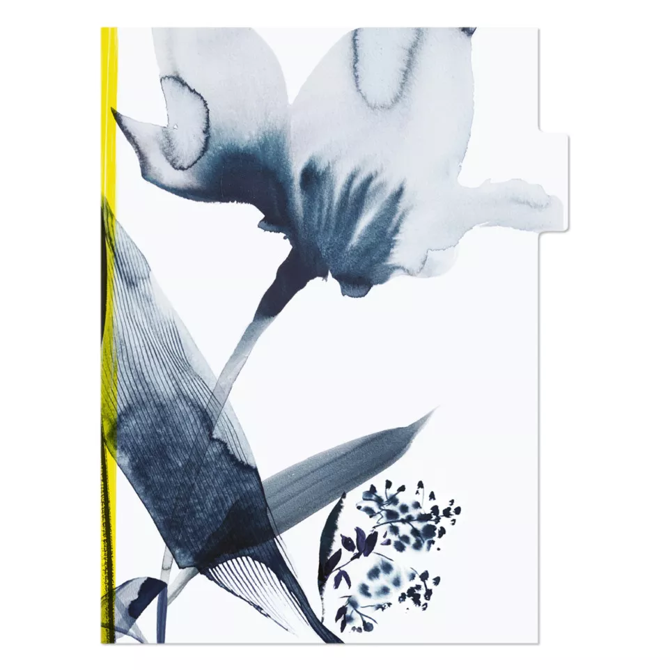 Inkebana, Set 3 mappen met tabs...