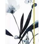 Inkebana elastomap 24x32cm-élastique 24x32cm/ St.