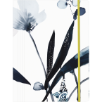 Inkebana elastomap...