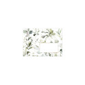 COLLECTION EUCALYPTUS, Paquet de 20 enveloppes imprimées Pollen 114x162mm 120g/m2 - Vert 3/ Pce