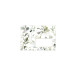 COLLECTION EUCALYPTUS, Paquet de 20 enveloppes imprimées Pollen 114x162mm 120g/m2 - Vert 3/ Pce