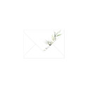 114x162 pk 20 env be-drukt Eucal.groen2/ St.