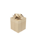 Assorment of 2 Square Gift Boxes 26x26x32.5cm/ Pc.