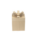 Set 2 vierkante dozen 26x26x32,5 cm-tes cadeaux carrées/ St.