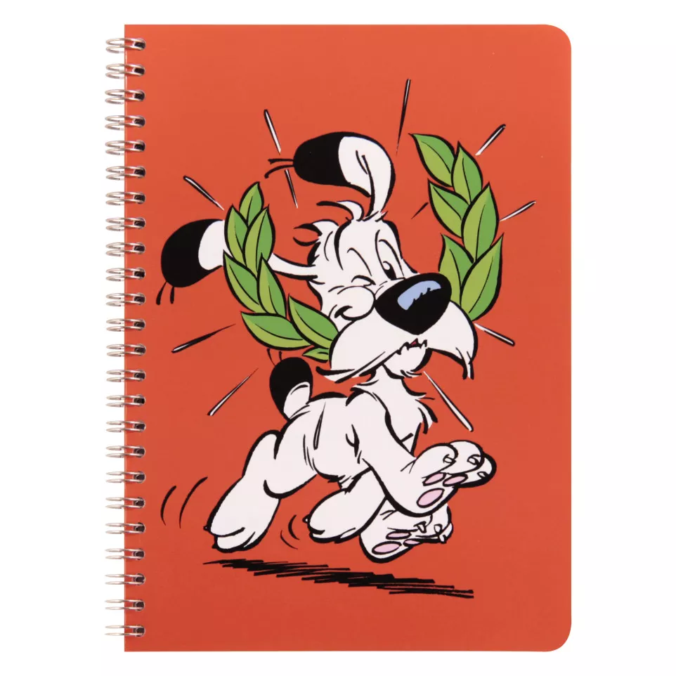 AST4 Idefix spir.schrift A5 50bl L-/ St.