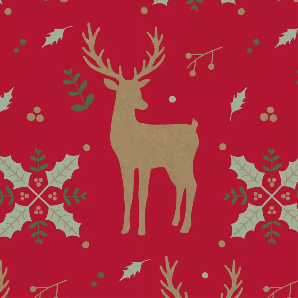 Kraft 70g, rl 50x0,70m Red Reindeer-/...